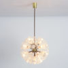 Dandelion Chandelier by Emil Stejnar for Rupert Nikoll