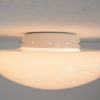 Magnolia Wall or Ceiling lamp by Sergio Mazza for Quattrifolio
