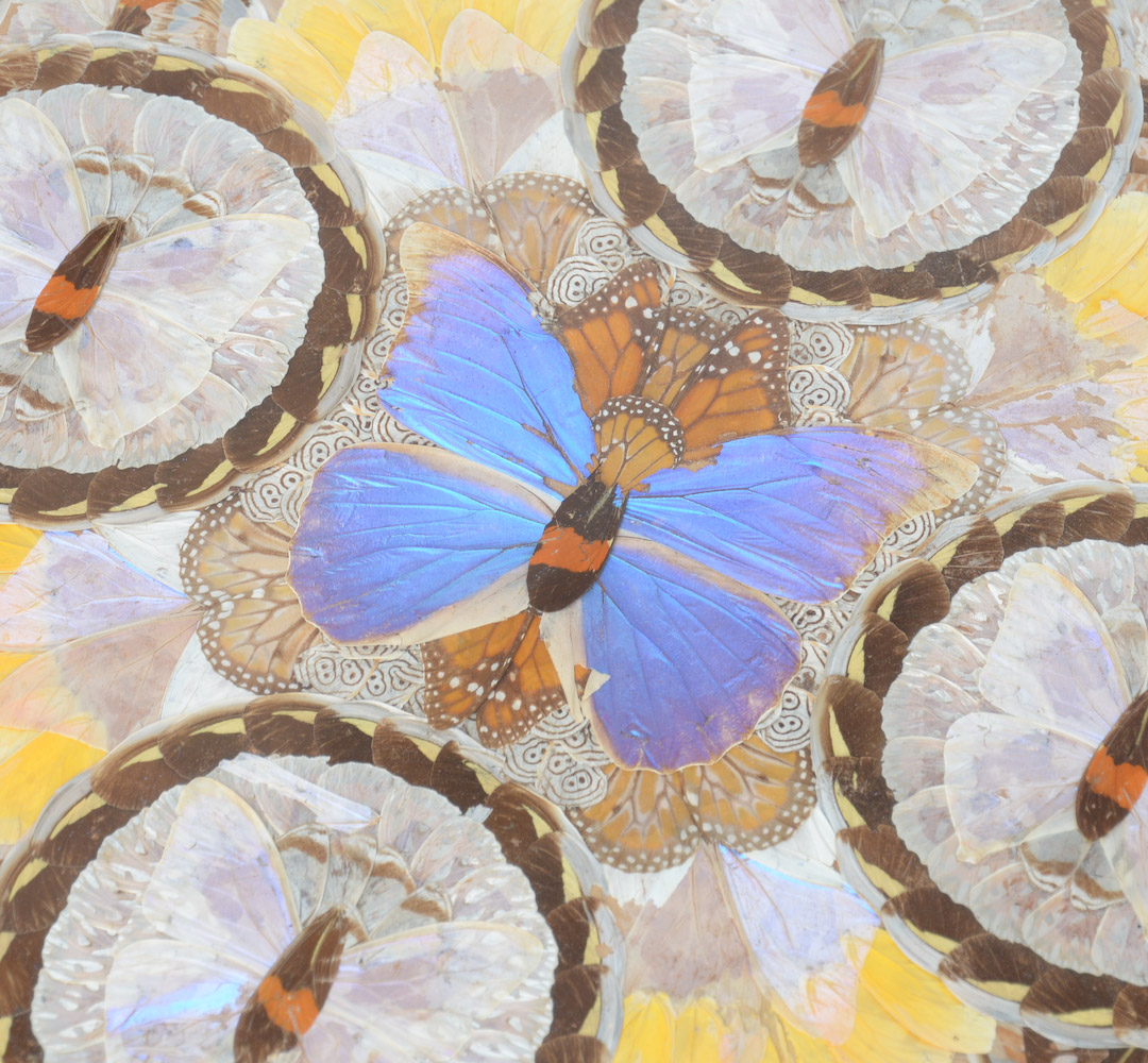 Magnificent Brazilian Butterfly Side Table